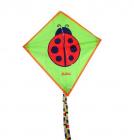 Cerf volant Coccinelle