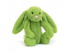 Lapin vert Petit