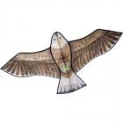 Cerf volant