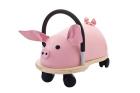 Weely bug Cochon