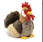 Coq