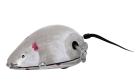 Souris Métal à clé