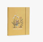 Livre de Naissance