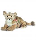 Lionesse couché