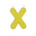 Lettre X