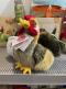 Coq