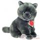 Chartreux